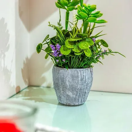 Apartament Tribunale Basement Mesyna